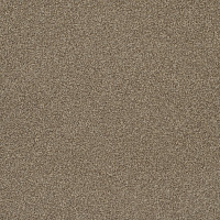 Ковровая плитка Interface Level Up 4267012 Sienna фото 1 | FLOORDEALER